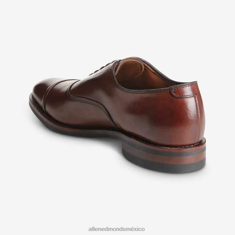 Zapatos Oxford de vestir con puntera en punta y suela dainite de Park Avenue BB60H12 chile oscuro hombresAllen Edmonds