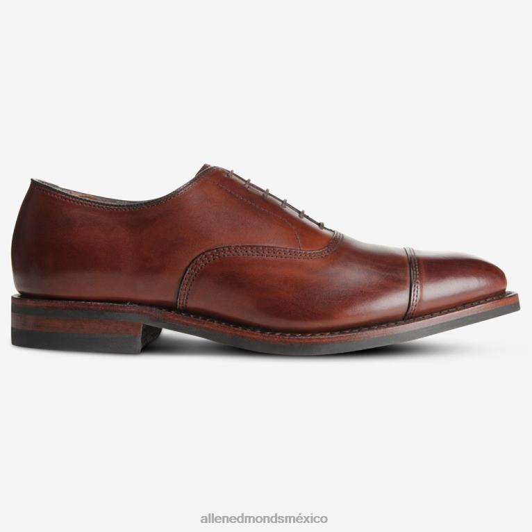 Zapatos Oxford de vestir con puntera en punta y suela dainite de Park Avenue BB60H12 chile oscuro hombresAllen Edmonds