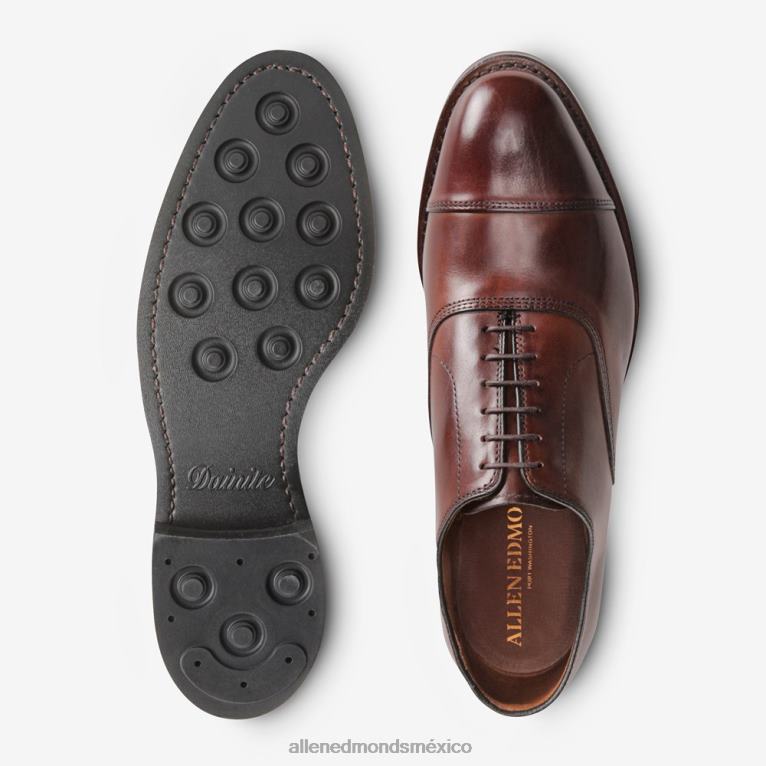 Zapatos Oxford de vestir con puntera en punta y suela dainite de Park Avenue BB60H12 chile oscuro hombresAllen Edmonds