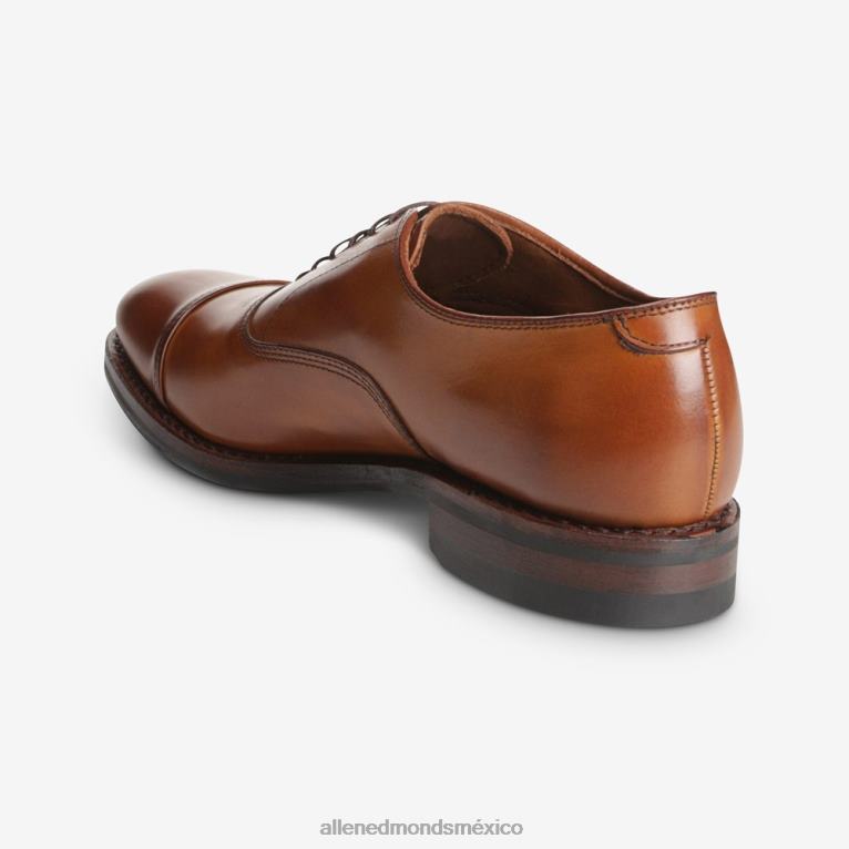 Zapatos Oxford de vestir con puntera en punta y suela dainite de Park Avenue BB60H237 marrón nuez hombresAllen Edmonds