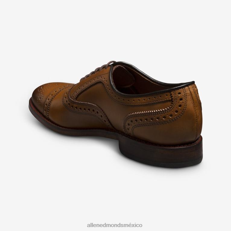 zapato de vestir oxford con puntera BB60H273 marrón nuez hombresAllen Edmonds