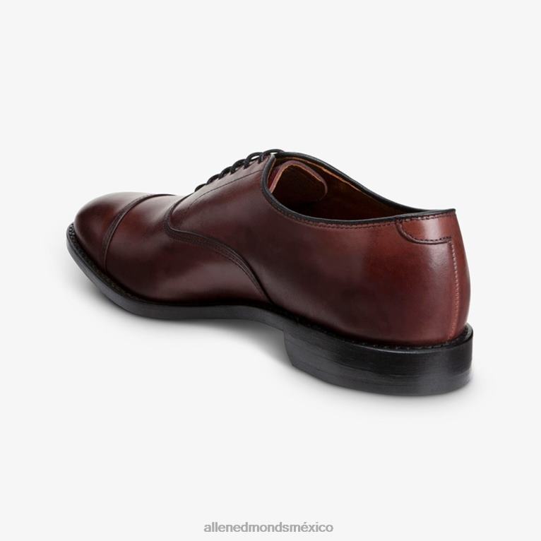 zapatos de vestir oxford con puntera de park avenue BB60H16 Burdeos hombresAllen Edmonds