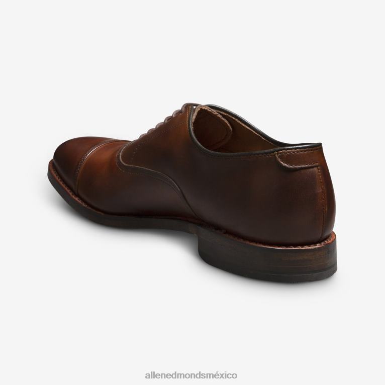 zapatos de vestir oxford con puntera de park avenue BB60H1 chile oscuro hombresAllen Edmonds