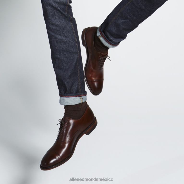 zapatos de vestir oxford con puntera de park avenue BB60H1 chile oscuro hombresAllen Edmonds