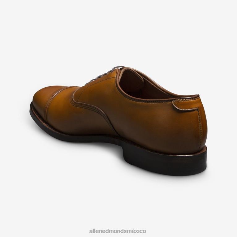 zapatos de vestir oxford con puntera de park avenue BB60H41 marrón nuez hombresAllen Edmonds