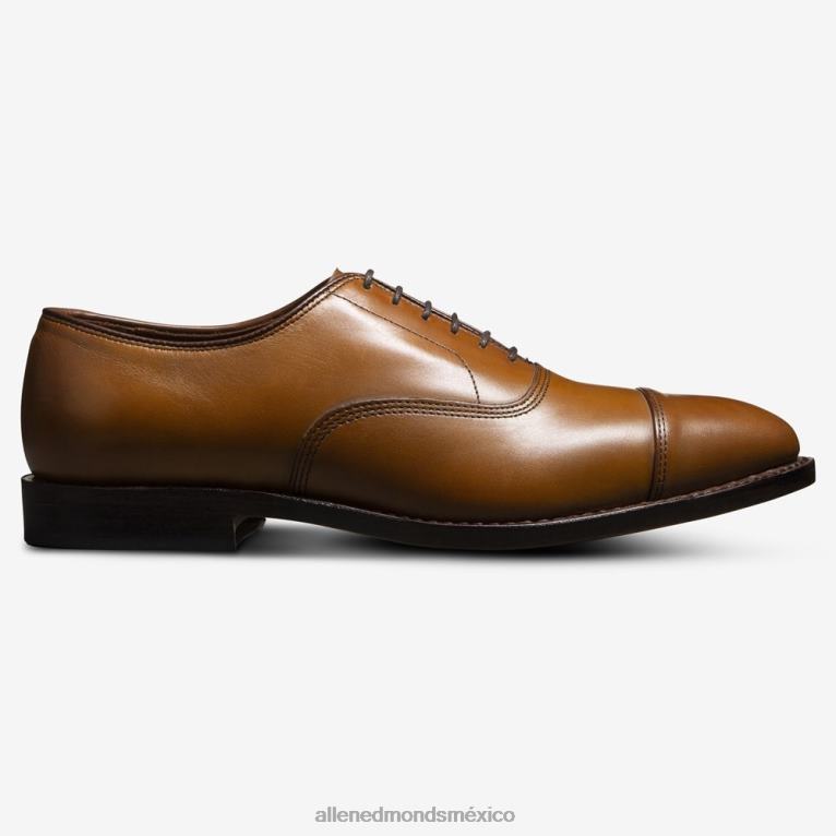 zapatos de vestir oxford con puntera de park avenue BB60H41 marrón nuez hombresAllen Edmonds