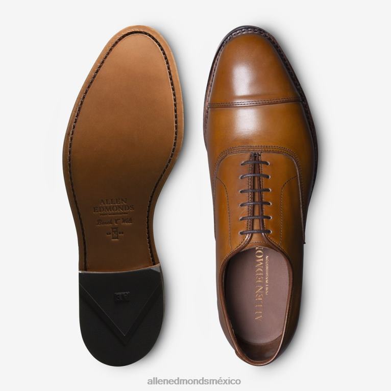 zapatos de vestir oxford con puntera de park avenue BB60H41 marrón nuez hombresAllen Edmonds