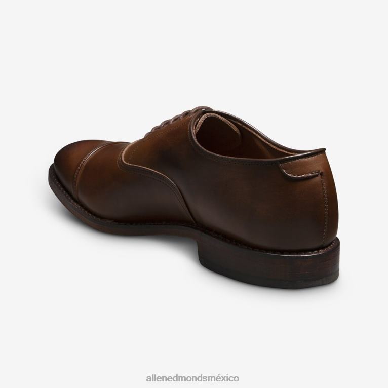 zapatos de vestir oxford con puntera de park avenue BB60H42 café marrón hombresAllen Edmonds