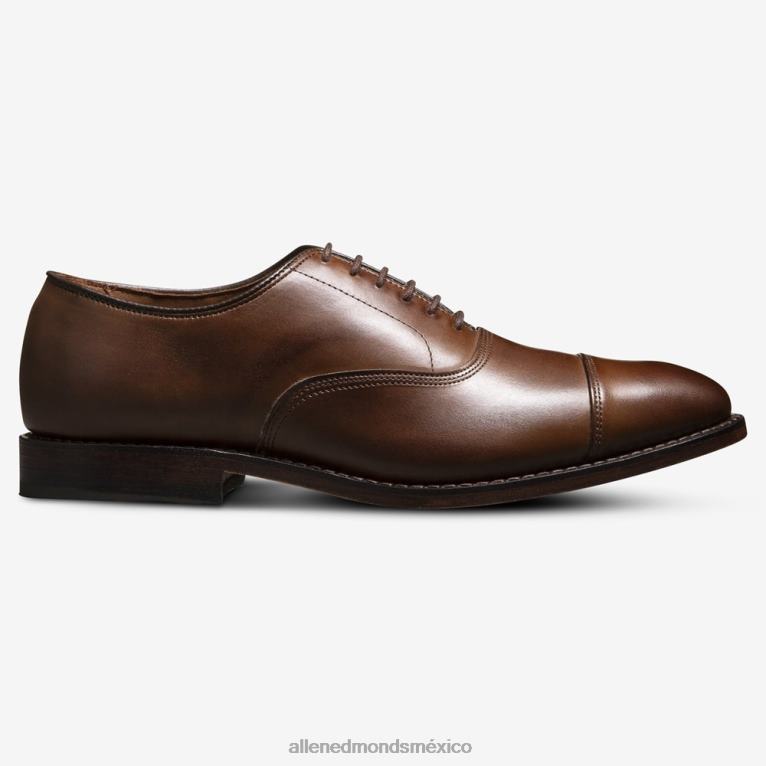 zapatos de vestir oxford con puntera de park avenue BB60H42 café marrón hombresAllen Edmonds