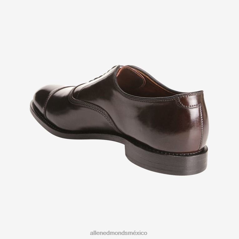 zapatos de vestir oxford con puntera en concha cordovan de park avenue BB60H276 marrón cordobés hombresAllen Edmonds