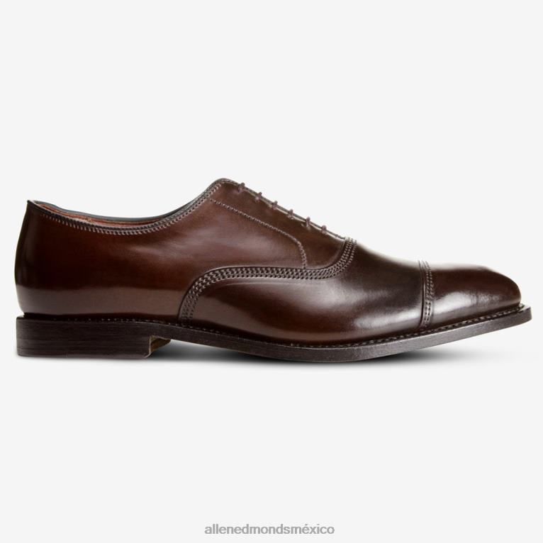 zapatos de vestir oxford con puntera en concha cordovan de park avenue BB60H276 marrón cordobés hombresAllen Edmonds