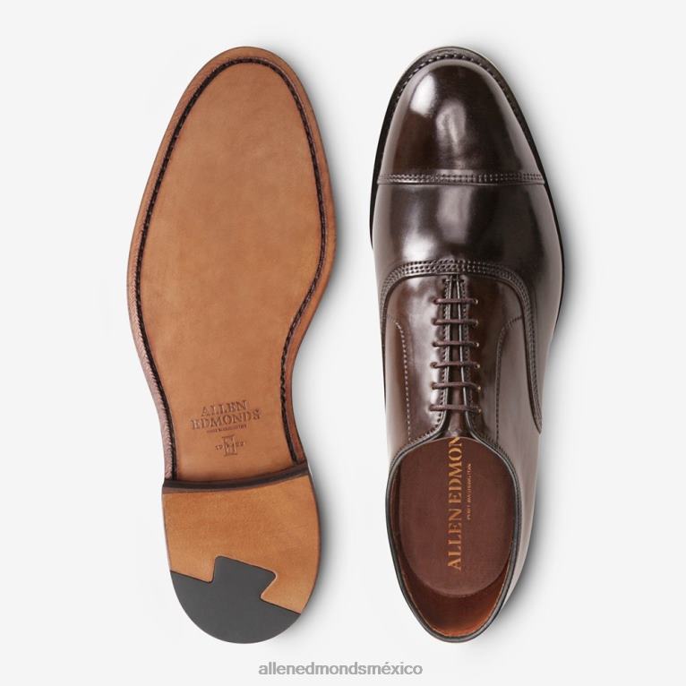 zapatos de vestir oxford con puntera en concha cordovan de park avenue BB60H276 marrón cordobés hombresAllen Edmonds