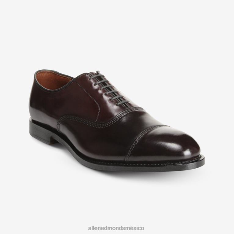 zapatos de vestir oxford con puntera en concha cordovan de park avenue BB60H277 cordobés burdeos hombresAllen Edmonds