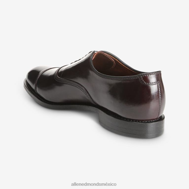 zapatos de vestir oxford con puntera en concha cordovan de park avenue BB60H277 cordobés burdeos hombresAllen Edmonds