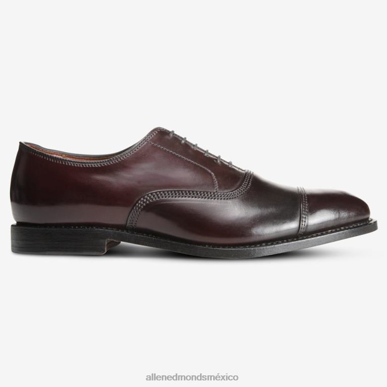 zapatos de vestir oxford con puntera en concha cordovan de park avenue BB60H277 cordobés burdeos hombresAllen Edmonds