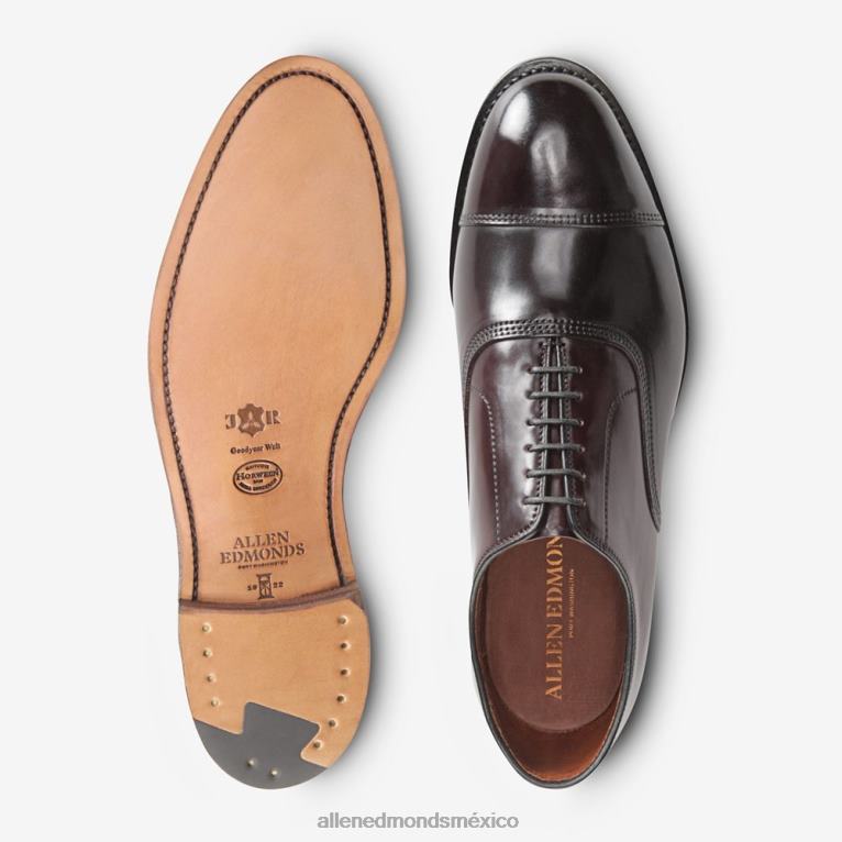 zapatos de vestir oxford con puntera en concha cordovan de park avenue BB60H277 cordobés burdeos hombresAllen Edmonds