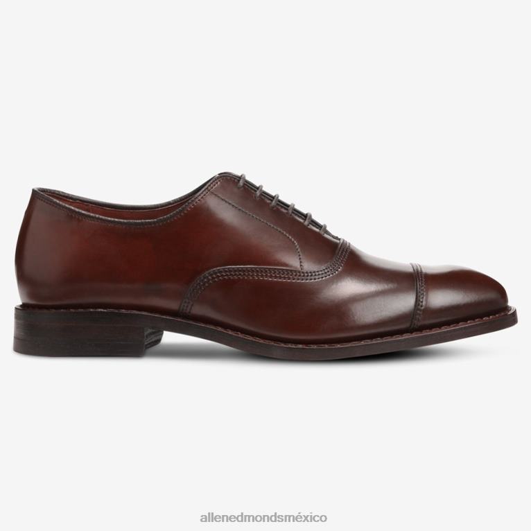 zapatos de vestir oxford con puntera en concha cordovan de park avenue BB60H278 chile cordobés hombresAllen Edmonds