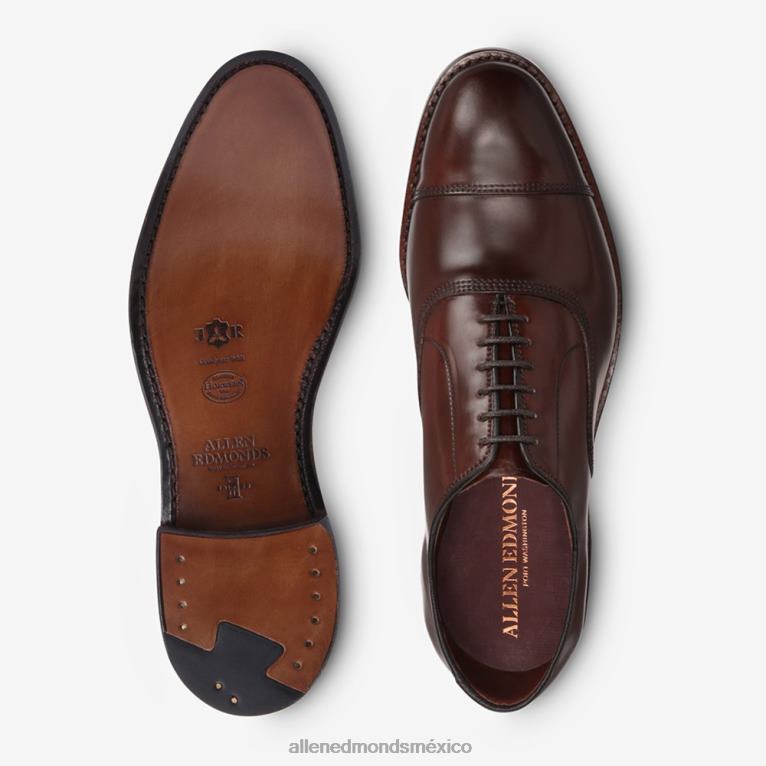 zapatos de vestir oxford con puntera en concha cordovan de park avenue BB60H278 chile cordobés hombresAllen Edmonds