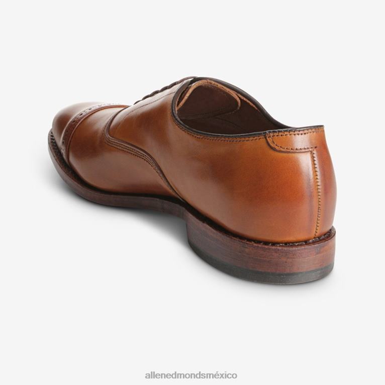 zapatos de vestir oxford con puntera en la quinta avenida BB60H311 marrón nuez hombresAllen Edmonds