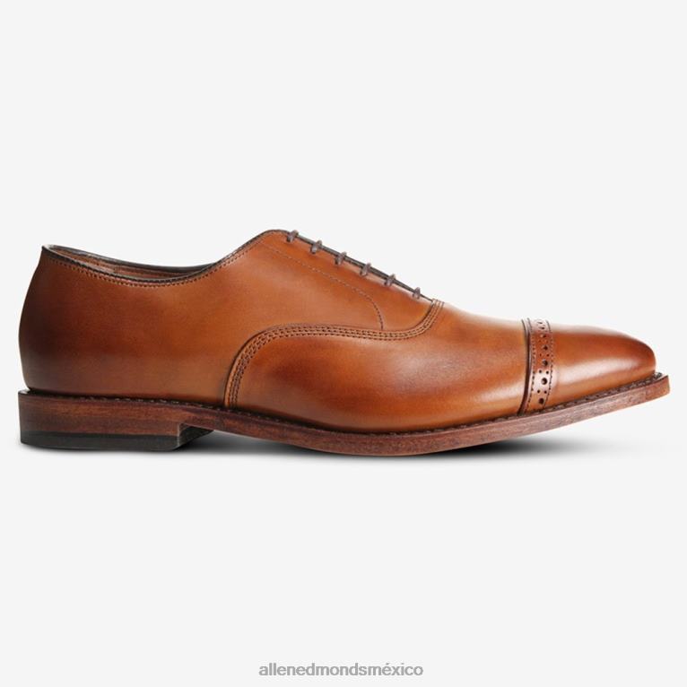 zapatos de vestir oxford con puntera en la quinta avenida BB60H311 marrón nuez hombresAllen Edmonds