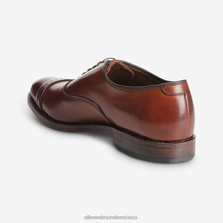 zapatos de vestir oxford con puntera en la quinta avenida BB60H312 chile oscuro hombresAllen Edmonds