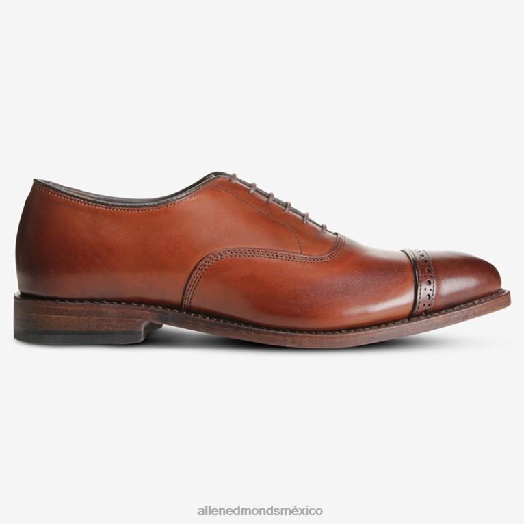 zapatos de vestir oxford con puntera en la quinta avenida BB60H312 chile oscuro hombresAllen Edmonds