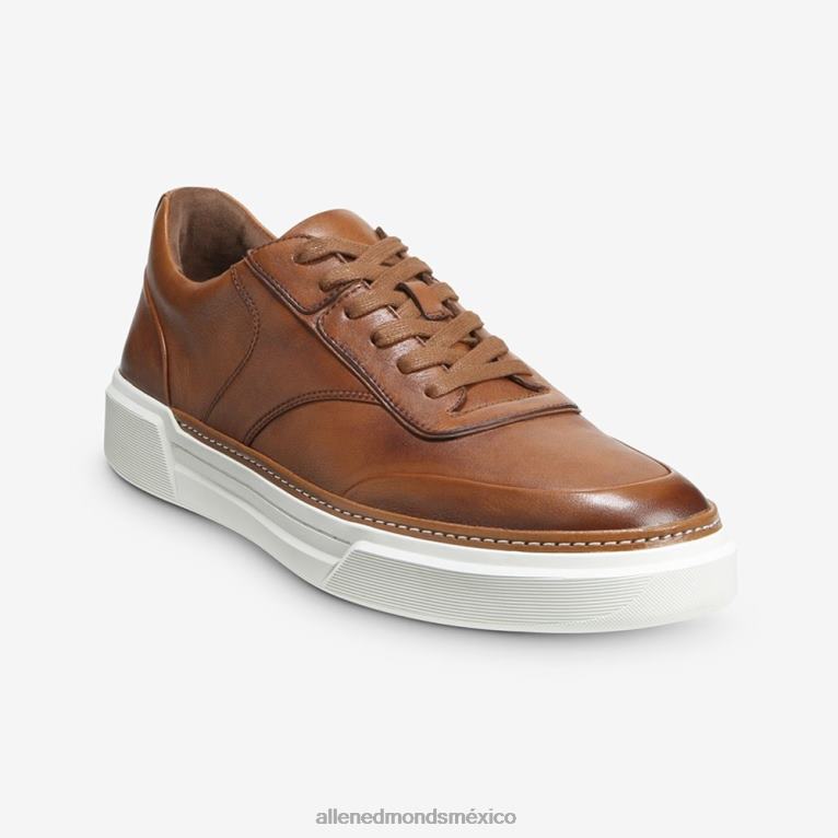 tenis Burke con cordones BB60H371 broncearse hombresAllen Edmonds