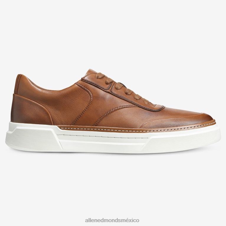 tenis Burke con cordones BB60H371 broncearse hombresAllen Edmonds