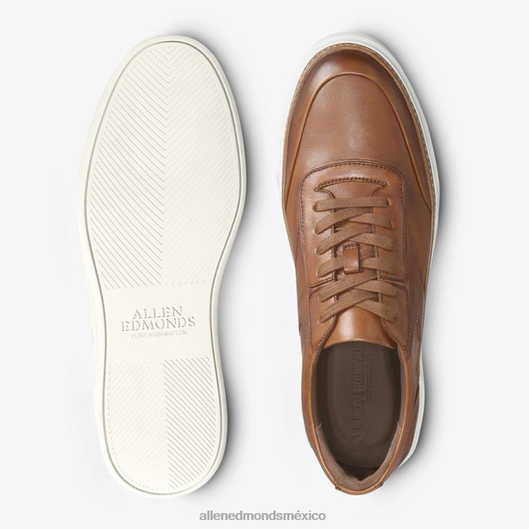 tenis Burke con cordones BB60H371 broncearse hombresAllen Edmonds