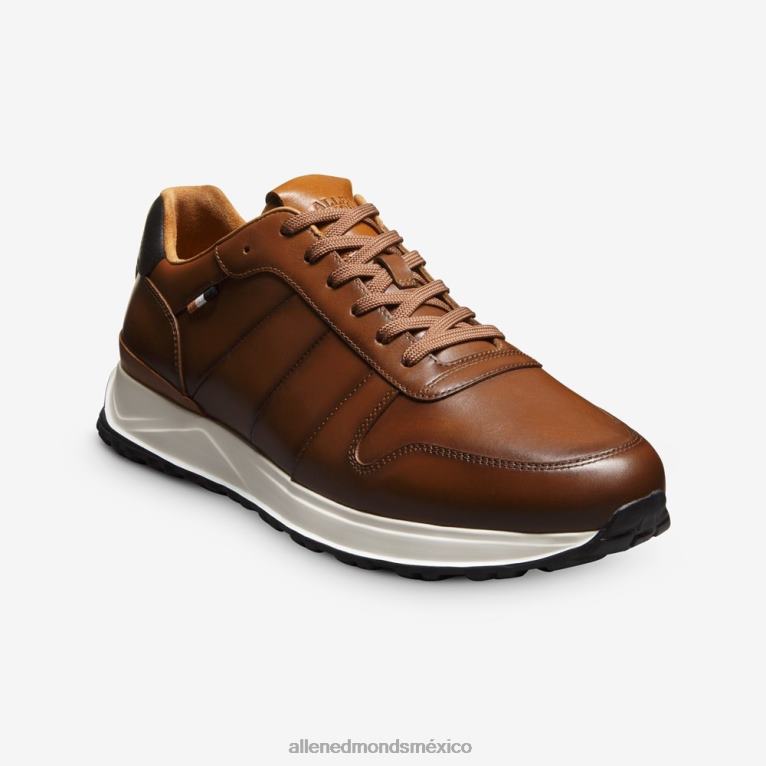 tenis Lawson con cordones BB60H335 cuero castaño hombresAllen Edmonds