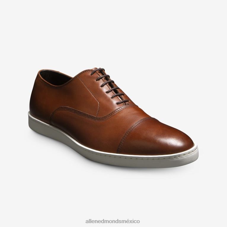 tenis de vestir oxford de park avenue BB60H2 chile hombresAllen Edmonds