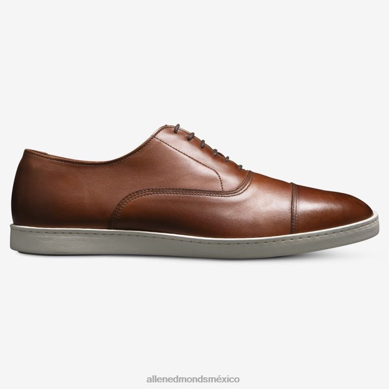 tenis de vestir oxford de park avenue BB60H2 chile hombresAllen Edmonds