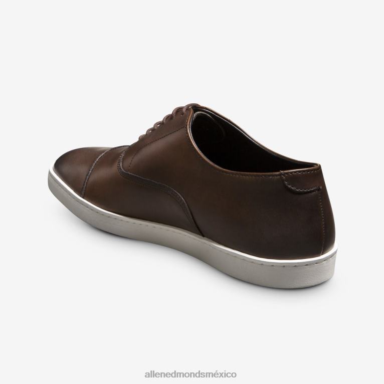 tenis de vestir oxford de park avenue BB60H63 marrón bourbon hombresAllen Edmonds