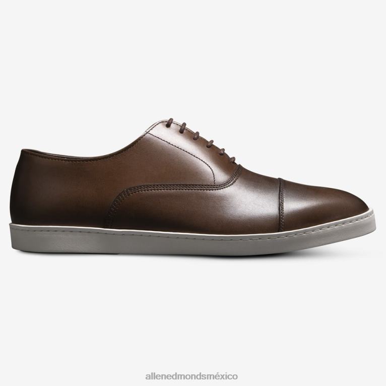 tenis de vestir oxford de park avenue BB60H63 marrón bourbon hombresAllen Edmonds