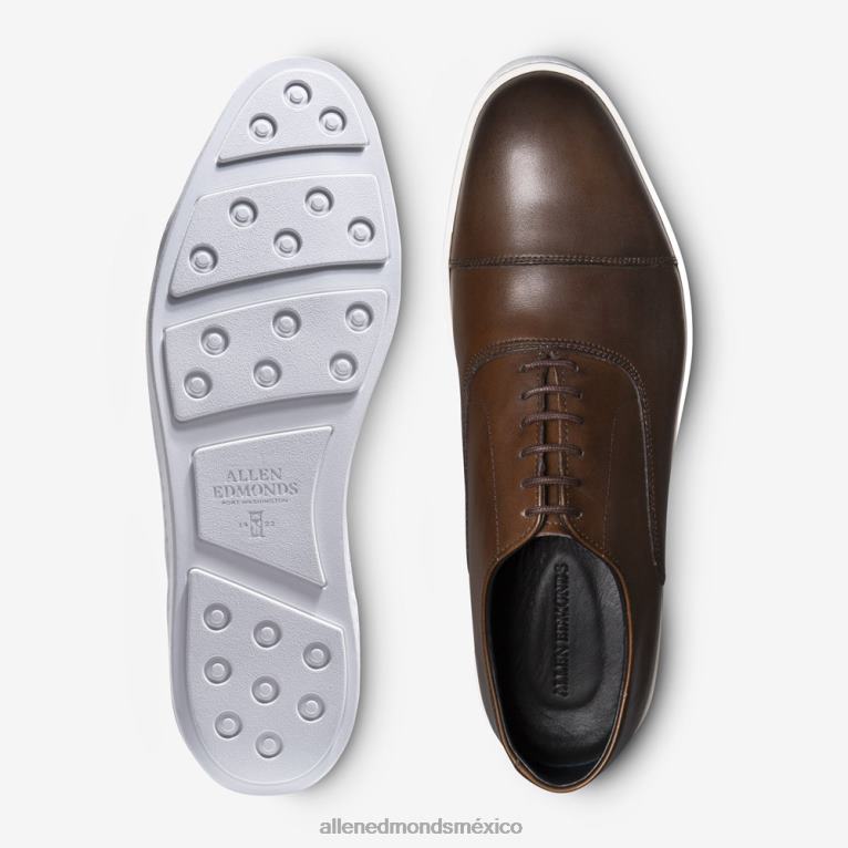 tenis de vestir oxford de park avenue BB60H63 marrón bourbon hombresAllen Edmonds